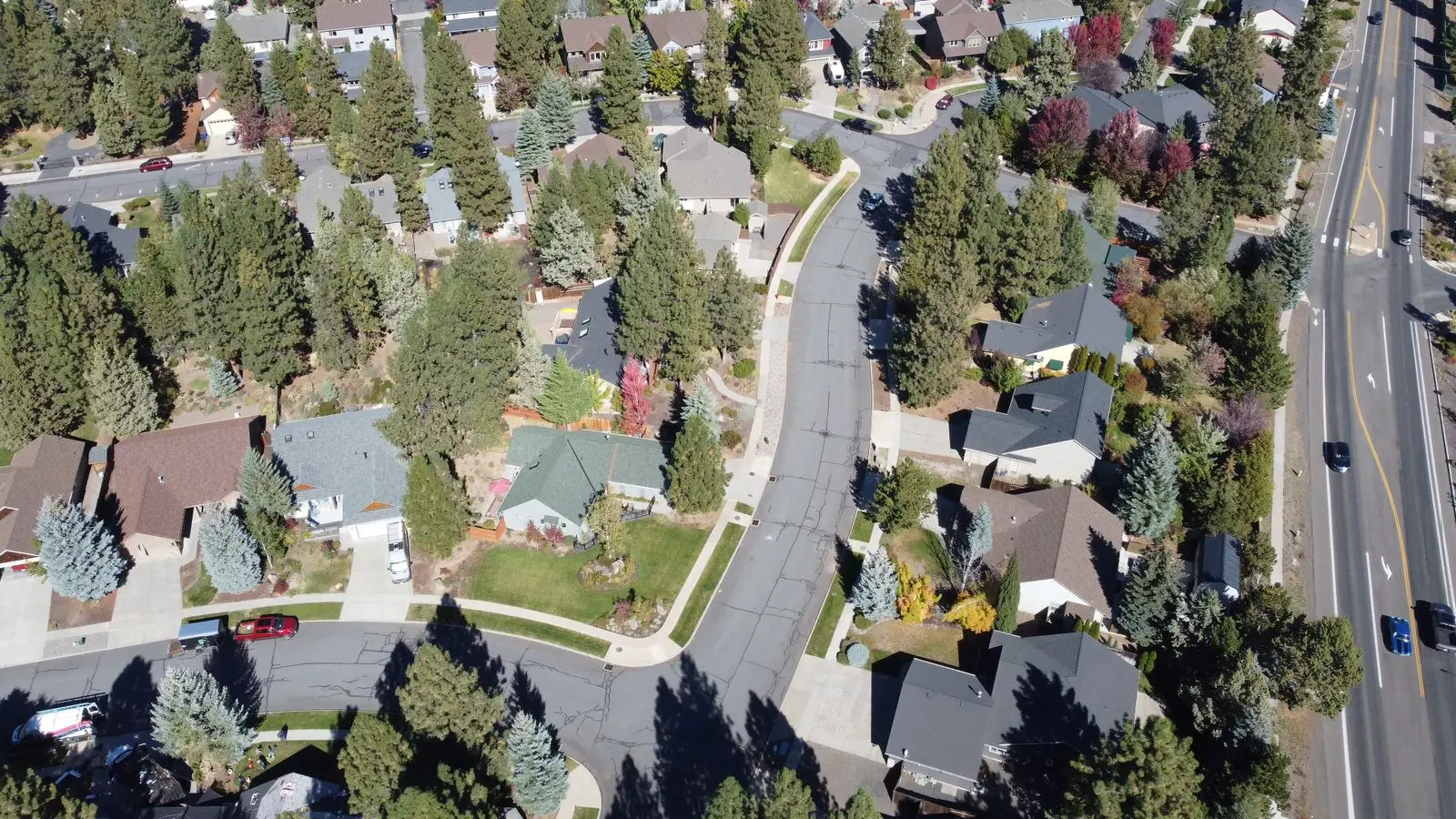 Aerial view of a leafy American suburb on a sunny day