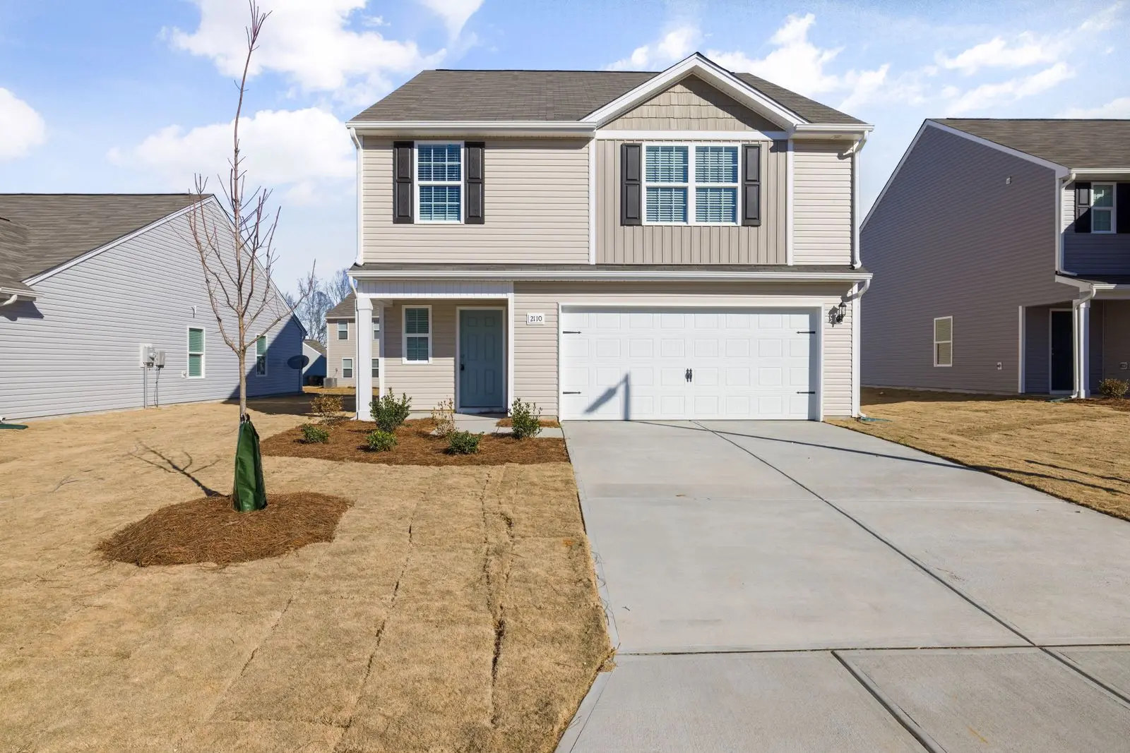 A new two-storey American house with a garage and a young tree